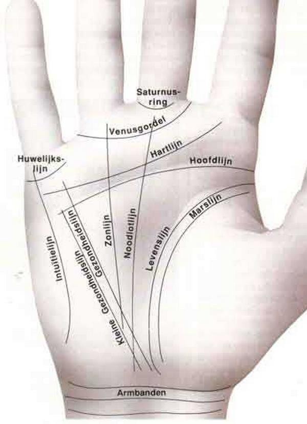 17 Kennismaking Handanalyse