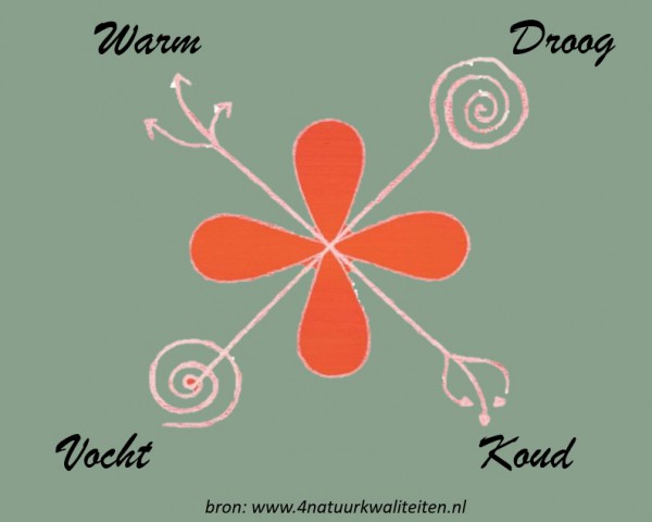Workshop 'Reflecteren op jezelf met behulp van de 4 natuurkwaliteiten'