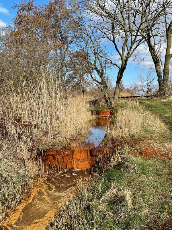 39A Wandeling over de Peelrandbreuk en wijstgronden