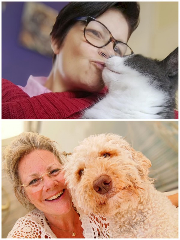 Workshop EFT, Tapping & Mindfull voor alle dieren