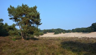 19. Fietstocht in de Maashorst met natuurgids