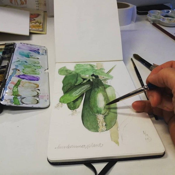 Botanische Kunst teken/schilder cursus