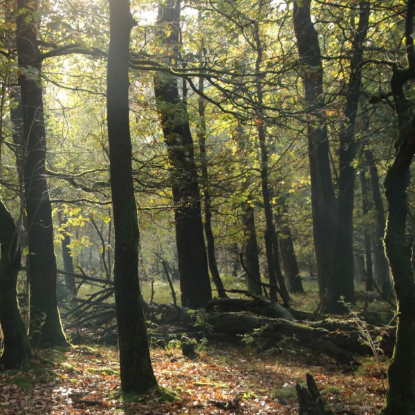 22. Wandeling 'ontwaken van de natuur'