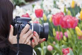 Basiscursus Fotografie